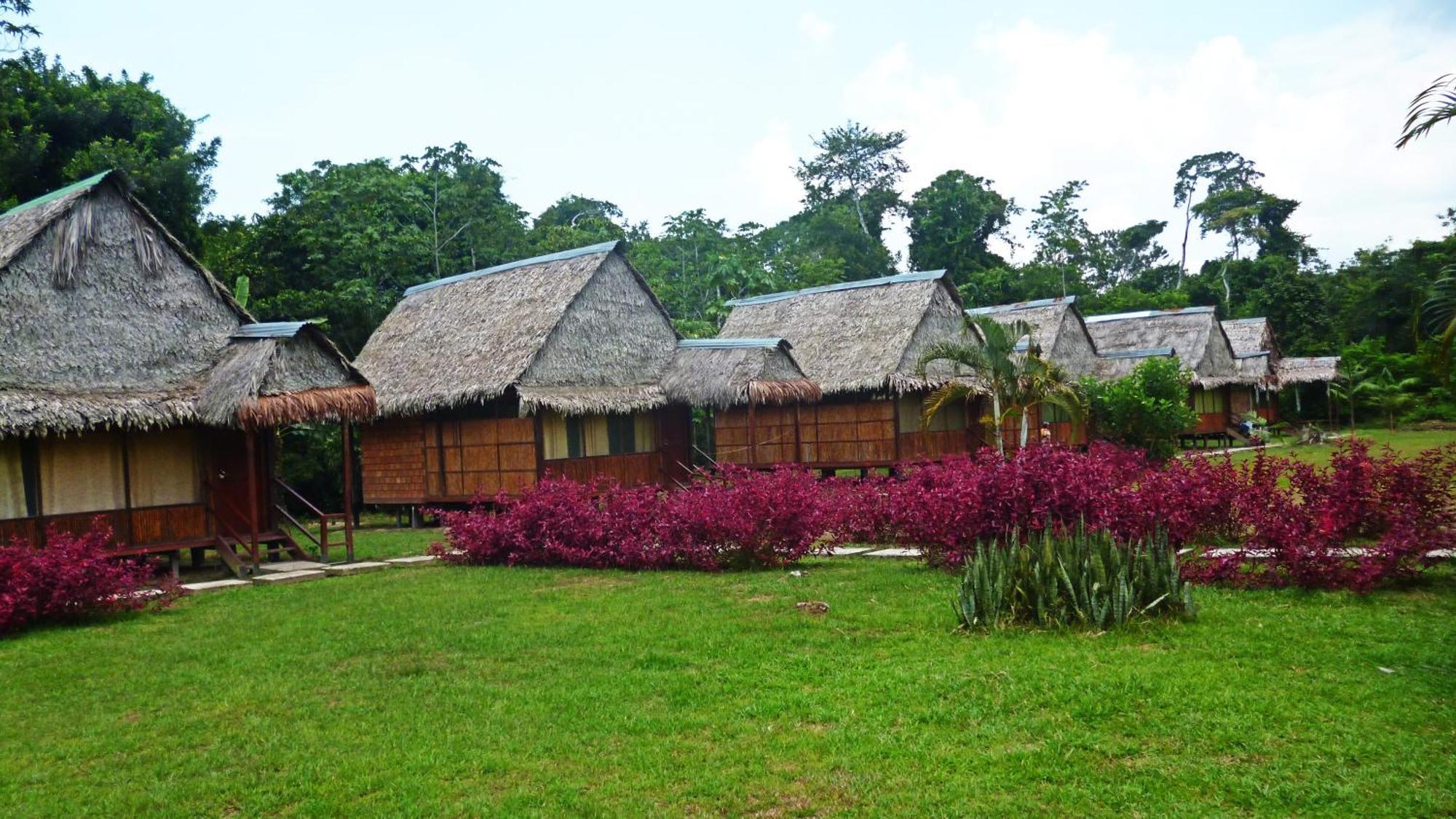 Curaka Lodge Expedition Iquitos Ngoại thất bức ảnh