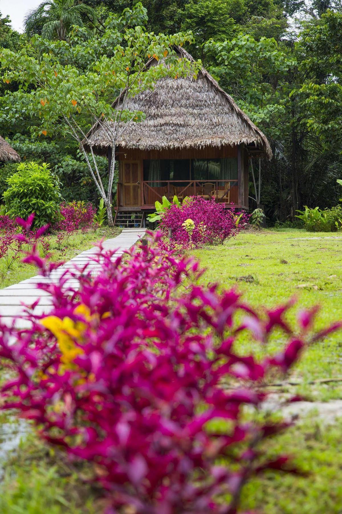 Curaka Lodge Expedition Iquitos Ngoại thất bức ảnh